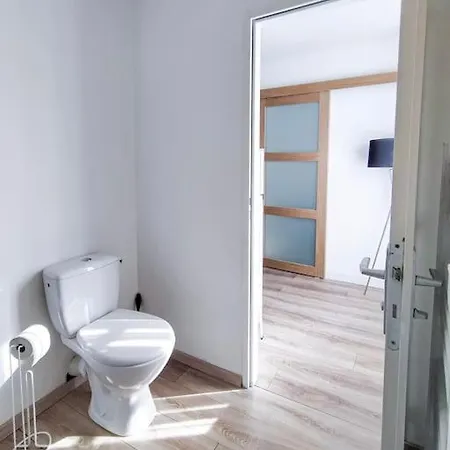 L'isere Depuis Les Quais Romanais *