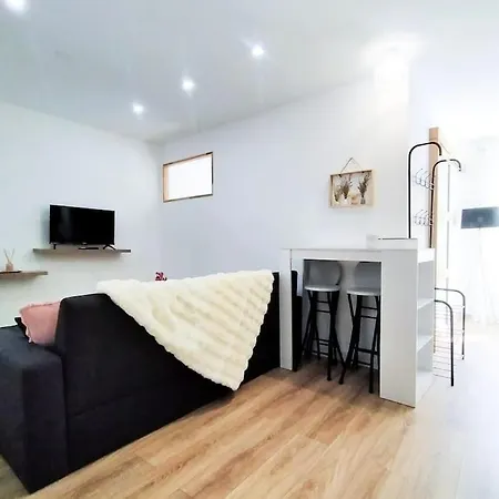 Appartement L'isere Depuis Les Quais Romanais